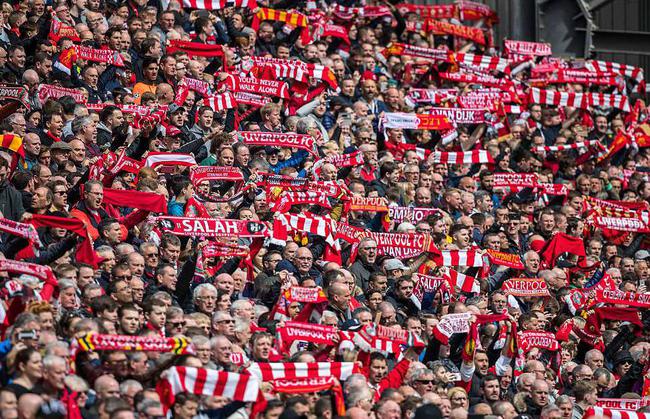 芝加哥小熊在 2024 年底宣布将与其主场的常春藤墙进行特殊的生态保护项目